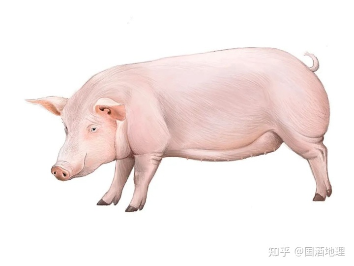 12.jpg 12.jpg