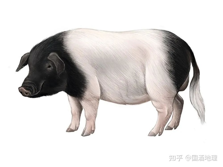 15.jpg 15.jpg