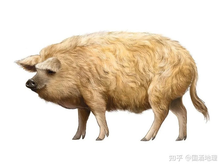 19.jpg 19.jpg