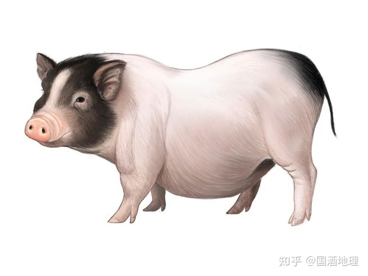 14.jpg 14.jpg