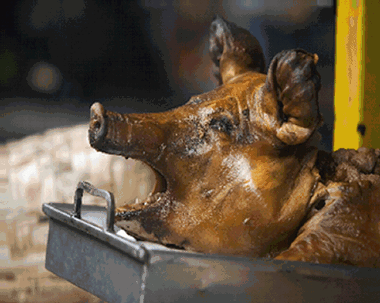 7.gif 7.gif