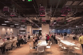 IMG_8817.GIF
