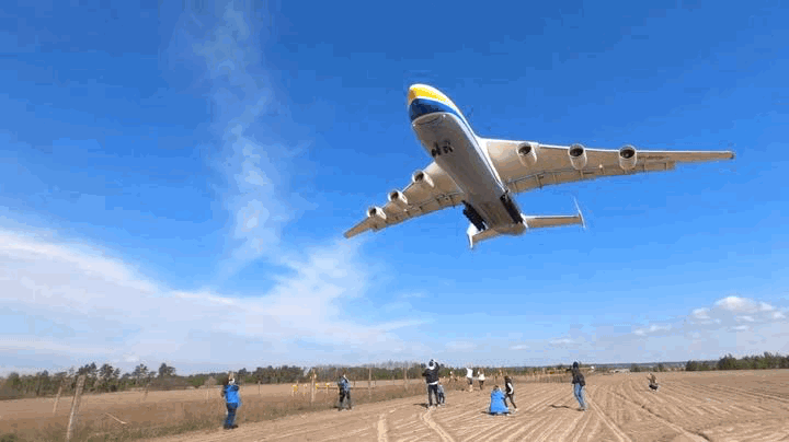 IMG_4210.GIF