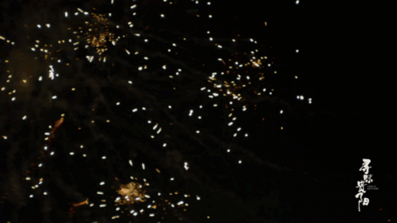 29.gif 29.gif