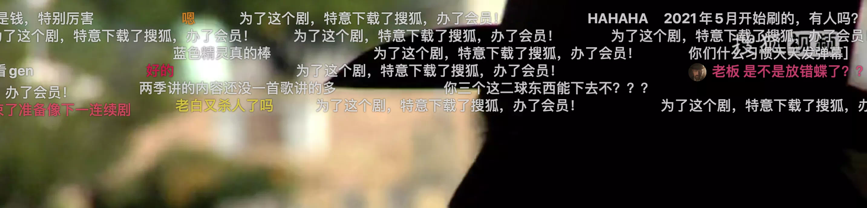 IMG_9985.PNG