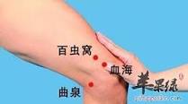 百虫窝.jpg