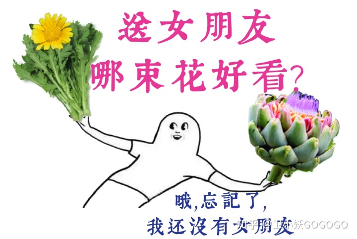 15.jpeg 15.jpeg