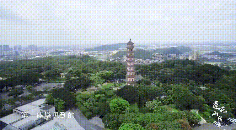 IMG_9161.GIF