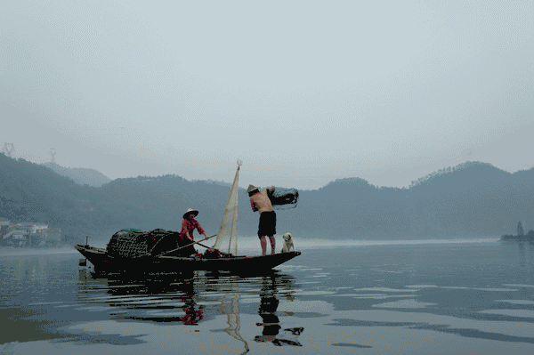 IMG_9171.GIF