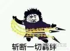 13.jpeg 13.jpeg