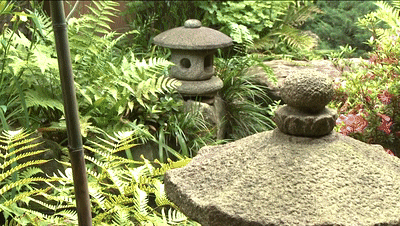IMG_5194.GIF