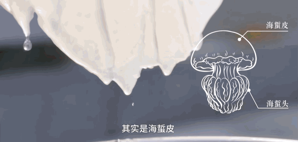 IMG_2653.GIF