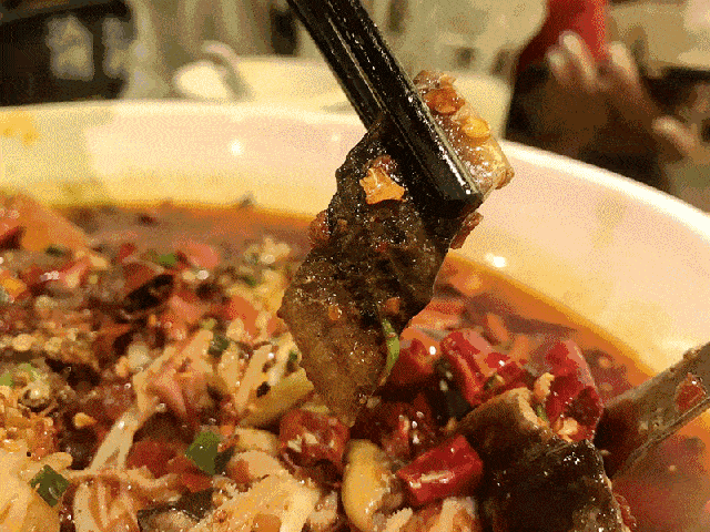 IMG_3209.GIF