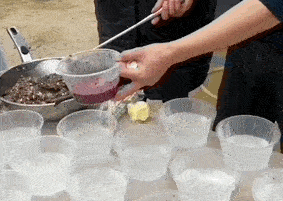 IMG_3182.GIF