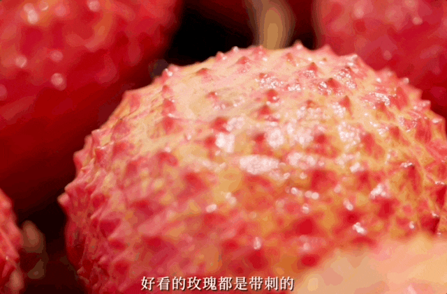 IMG_3892.GIF