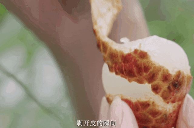 IMG_3898.GIF