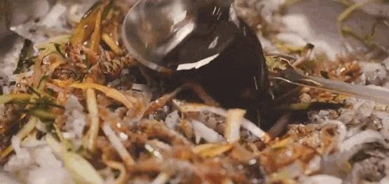 5.gif