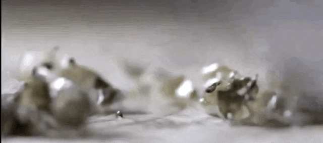 8.gif