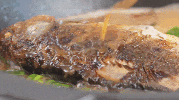 0.gif
