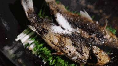 3.gif
