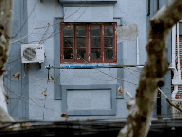 IMG_4899.GIF