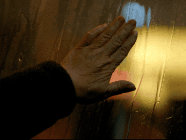 IMG_4900.GIF