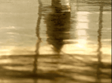 IMG_4906.GIF