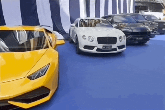 IMG_3729.GIF