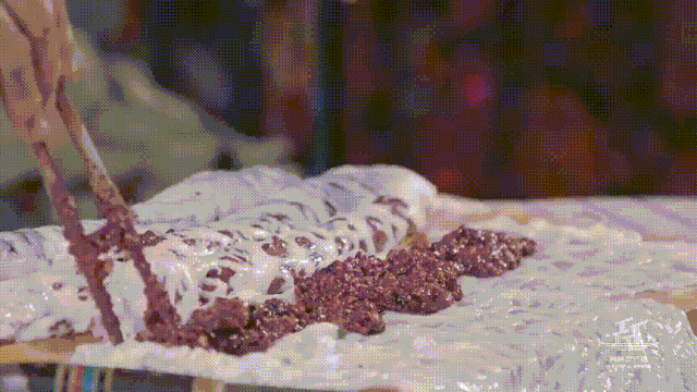 IMG_2884.GIF