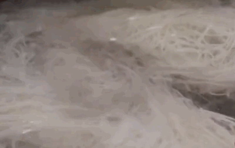 2-ezgif.com-optimize.gif