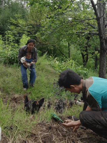 IMG_9489-ezgif.com-optimize.gif