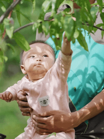 IMG_9490-ezgif.com-optimize.gif