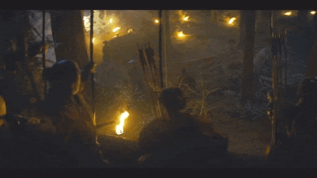 IMG_3509-ezgif.com-optimize.gif