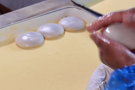 IMG_7740-ezgif.com-optimize.gif