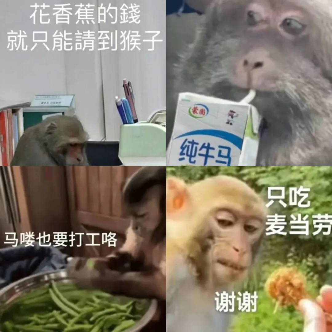 0.jpg