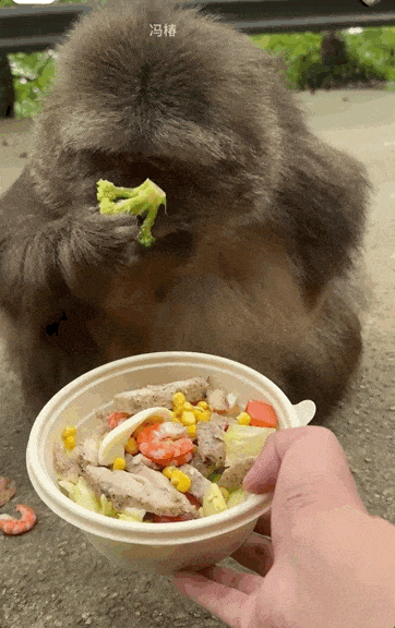 IMG_8829-ezgif.com-optimize.gif