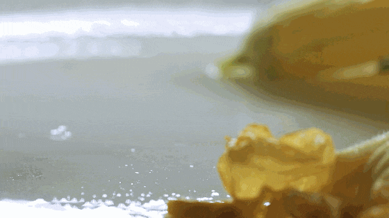 5.gif