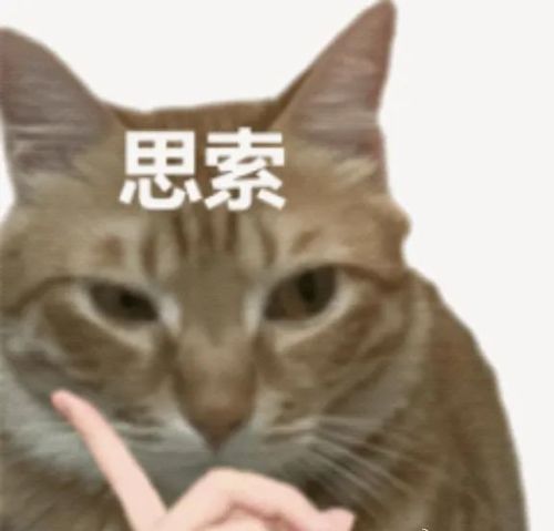 a1.jpg