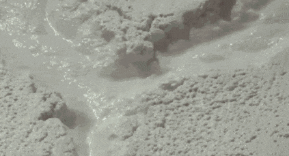 IMG_0363.GIF