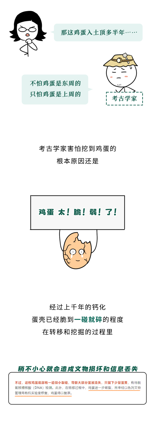 a1.png