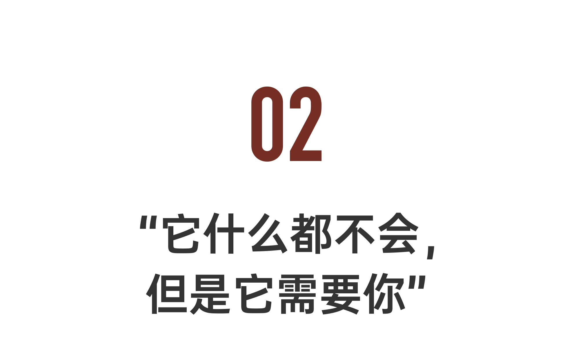 IMG_2505.PNG