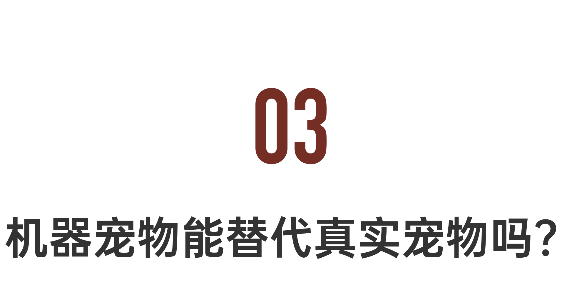 IMG_2511.PNG
