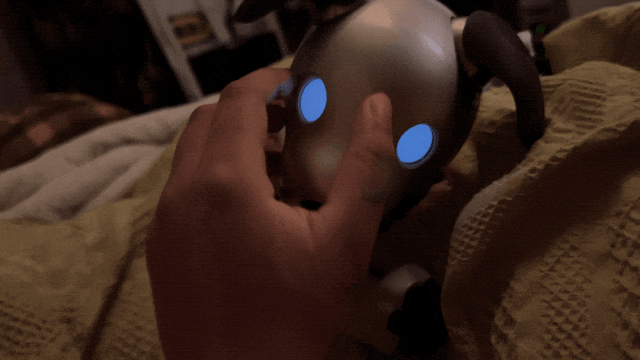 IMG_2515.GIF