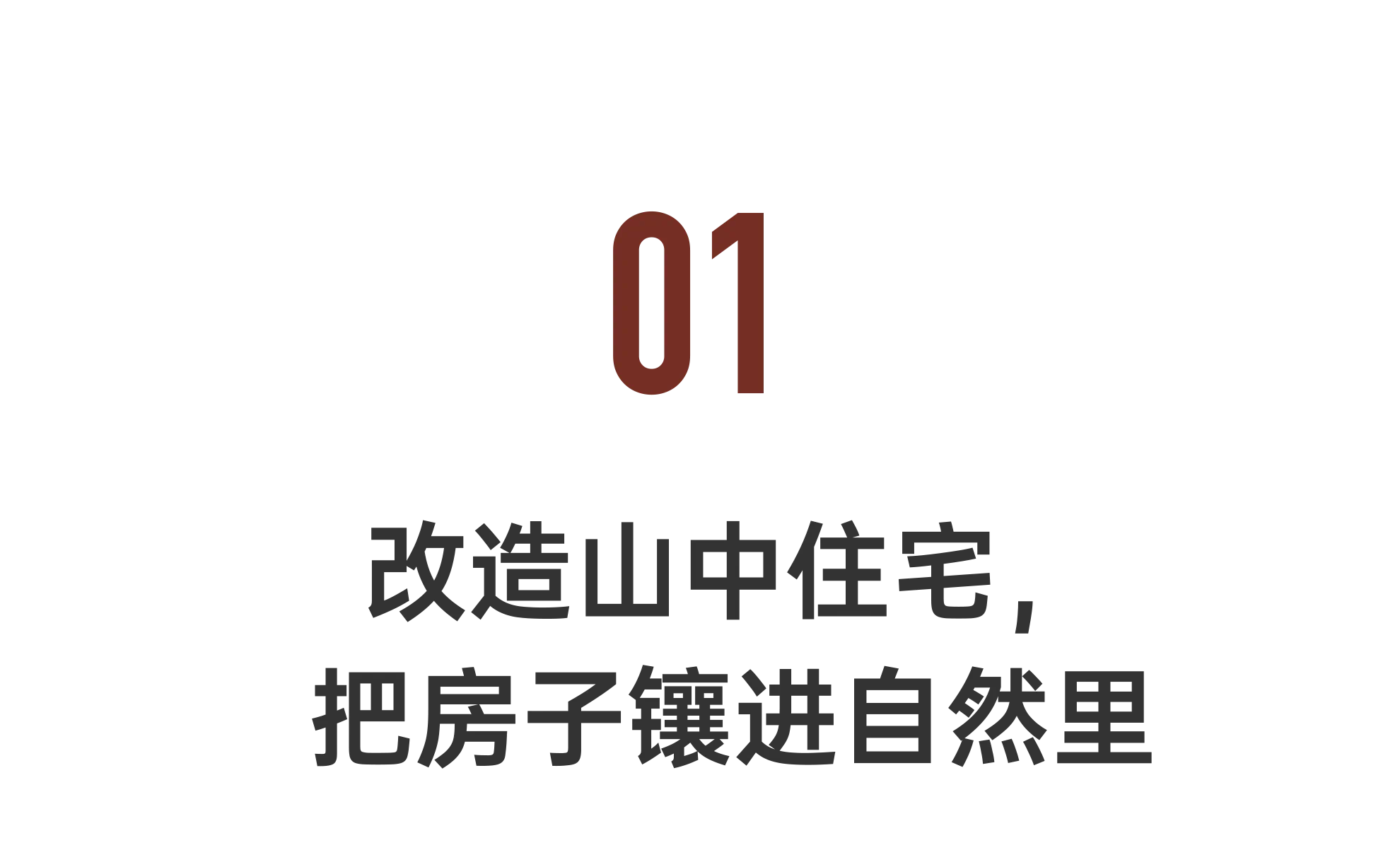 IMG_7146.PNG