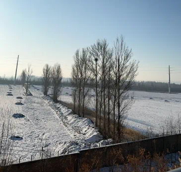 IMG_7185.JPG