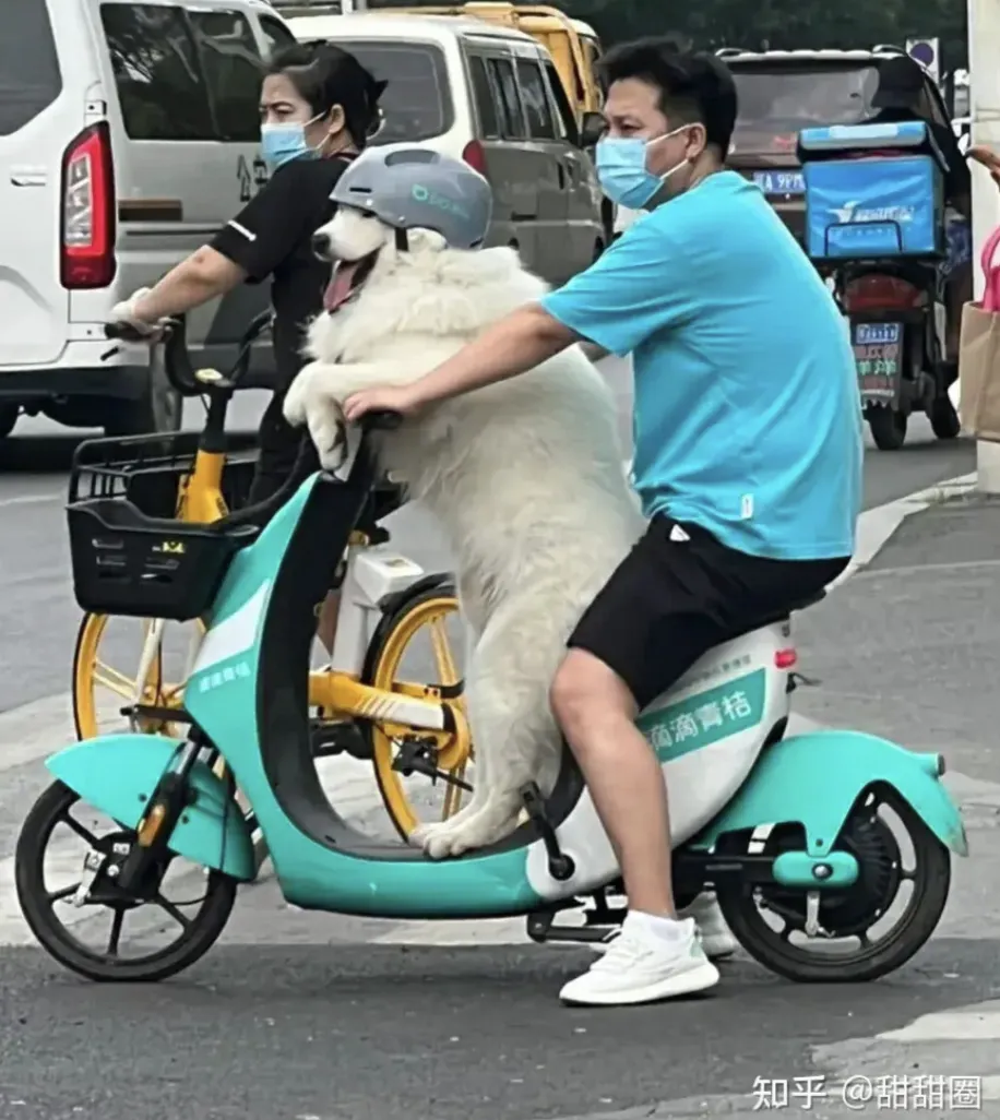 0.jpg