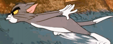 a1.gif