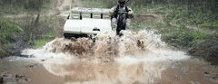 a1.gif