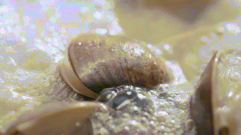 IMG_8315.GIF