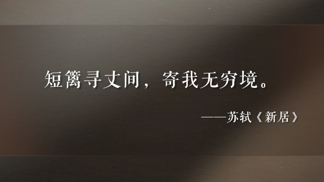 IMG_1086.PNG